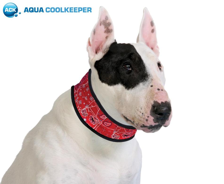 Cooling collar Red Western